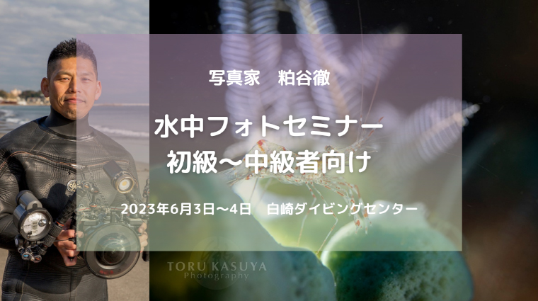 カメカメバナー__トップ01