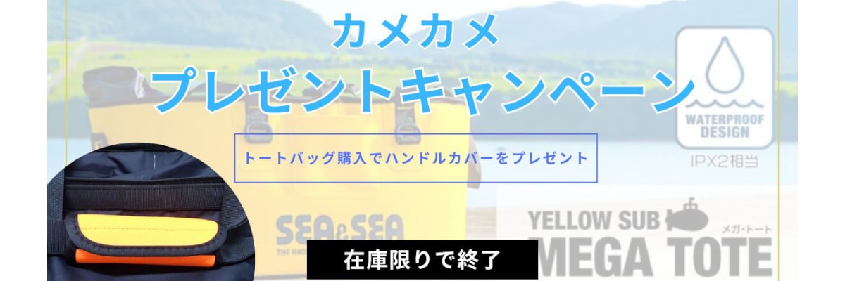 カメカメバナー__トップ02