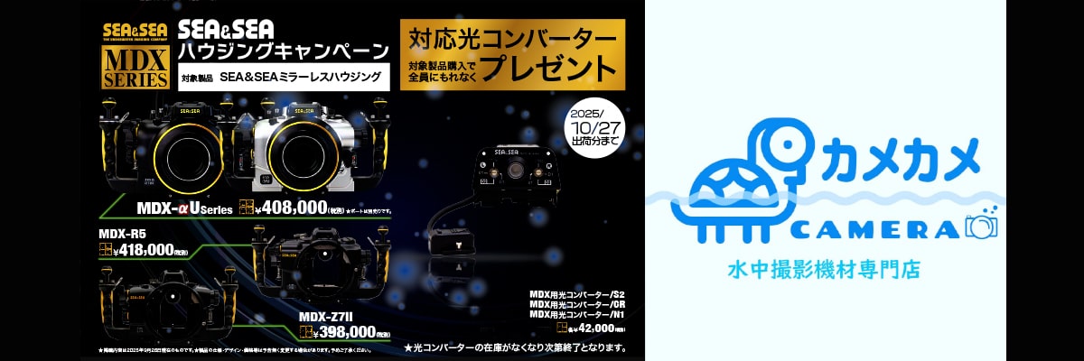 カメカメバナー__目玉商品