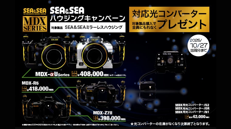 カメカメバナー__目玉商品