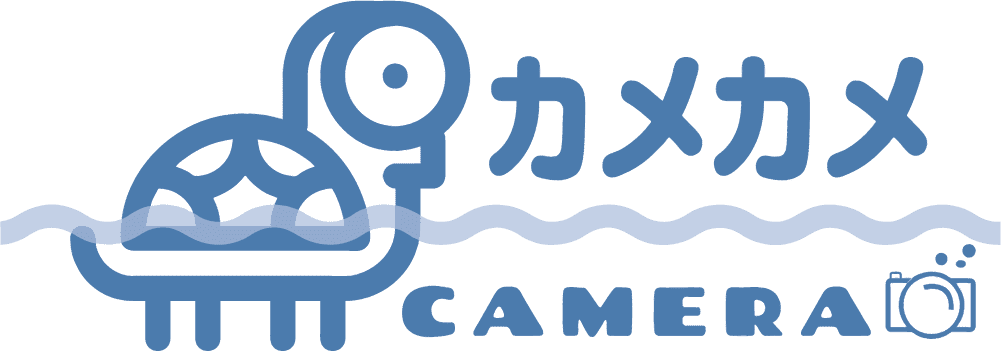 カメカメlogo