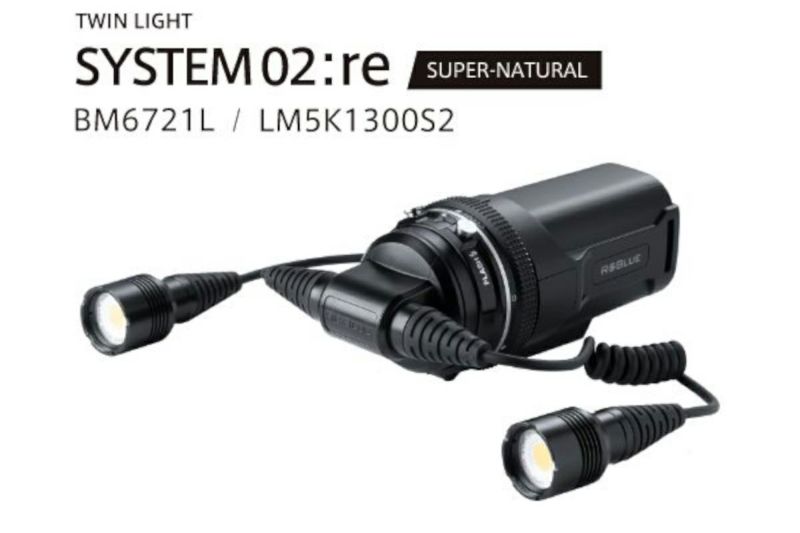 システム02:re ツインライト スーパーナチュラルカラー｜カメカメCAMERA