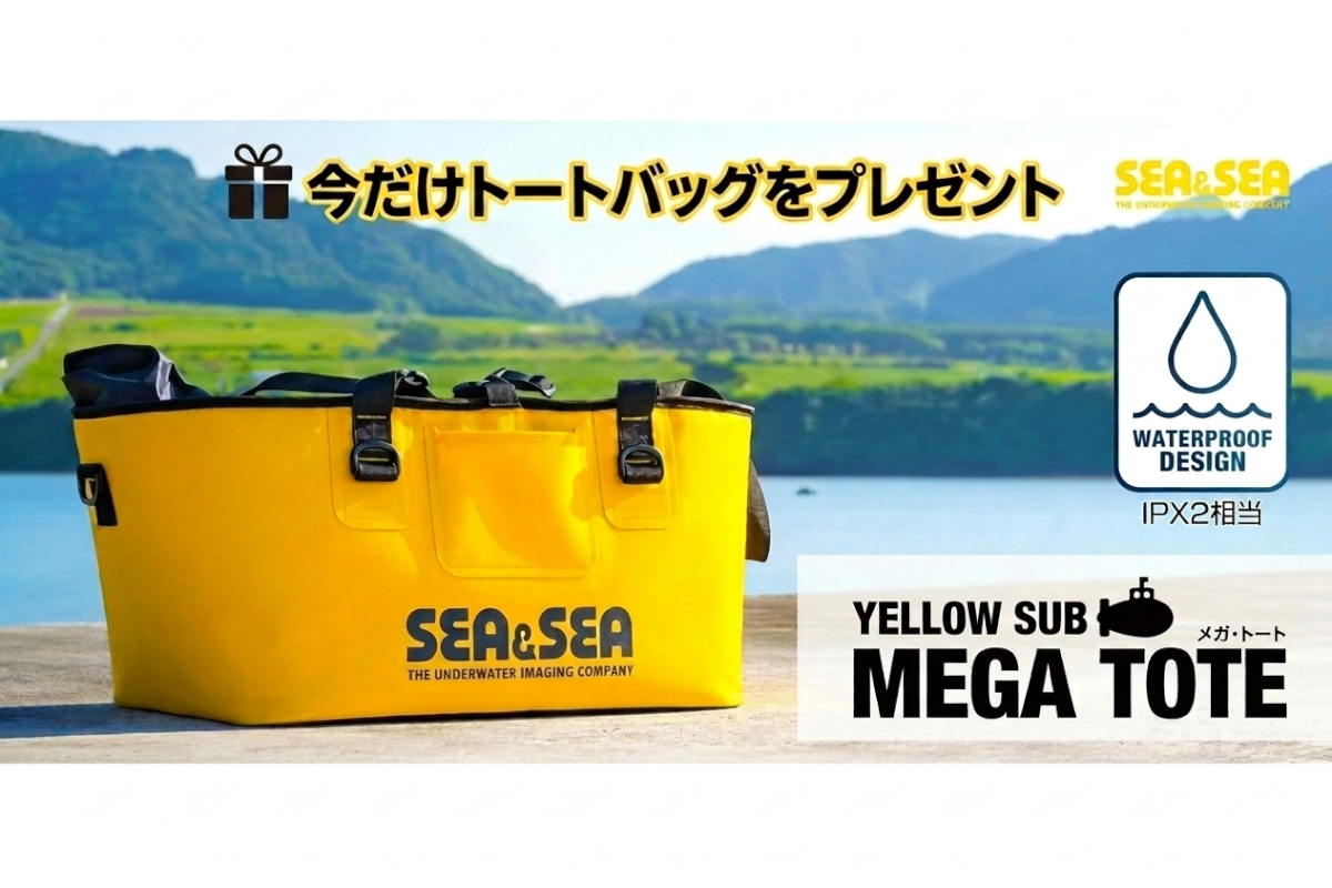 シーアンドシー（SEA&SEA）水中ハウジング MDX-α7RIV(R4) U-4
