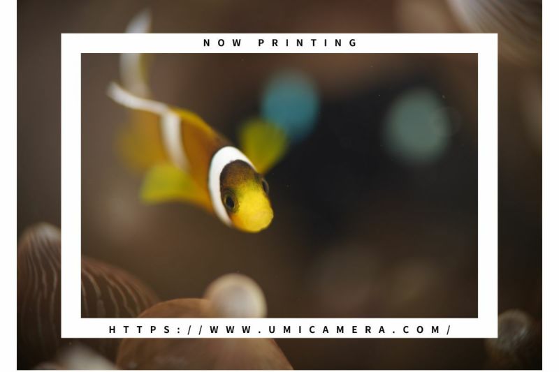 ノーティカム（Nauticam）NA カスタムHDMIバルクヘッド #21296-1