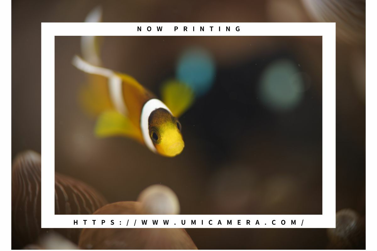 ノーティカム（Nauticam）NA フロートMWL1 #21514-1