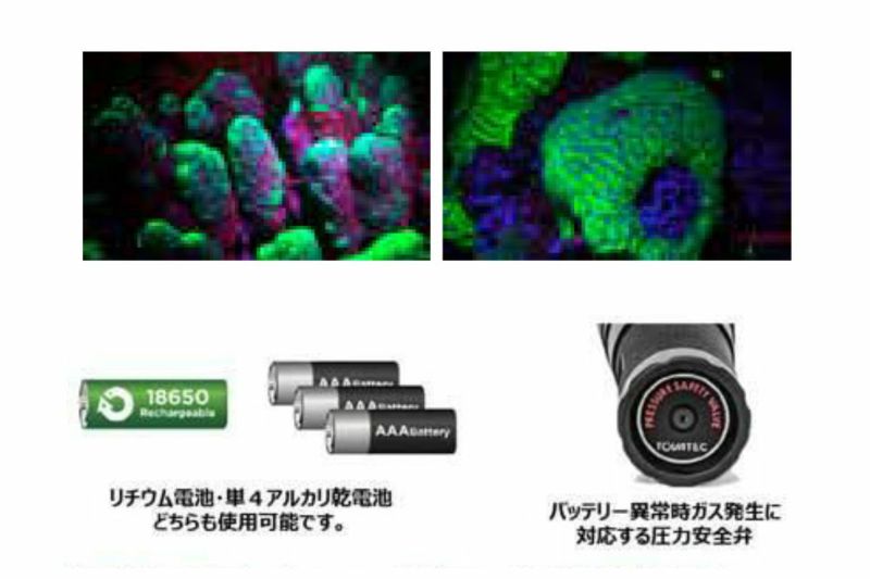 トバテック（TOVATEC）UV01 UV ライト395nm（パープル）-2