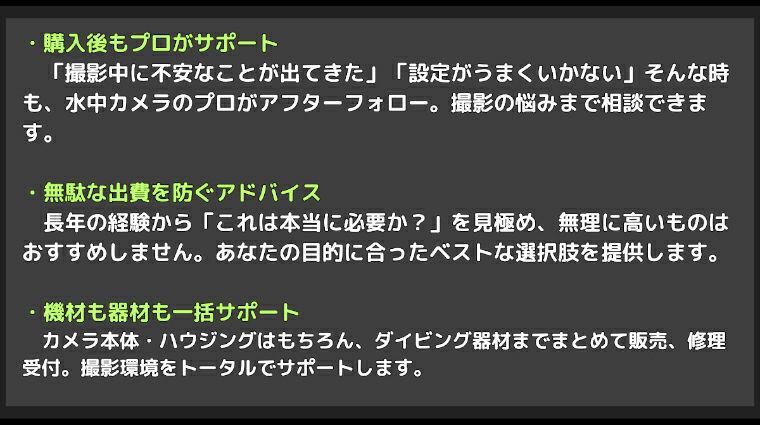 ノーティカム（Nauticam）ズームギア NA CR24105f2.8-Z #217103