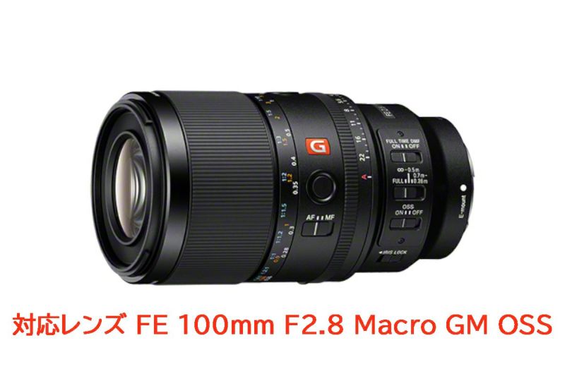 ノーティカム（Nauticam）フォーカスギア NA-SE100-F #21744-2