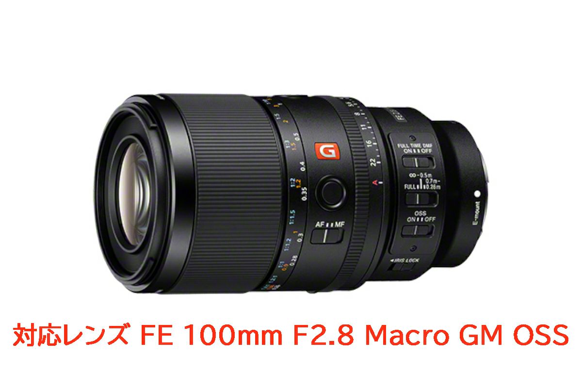 ノーティカム（Nauticam）フォーカスギア NA-SE100-F #21744-2